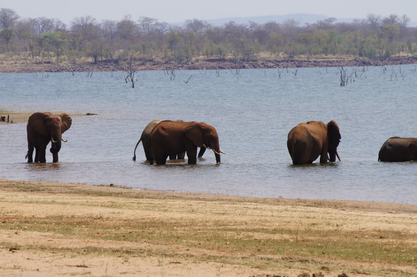 Matusadona National Park